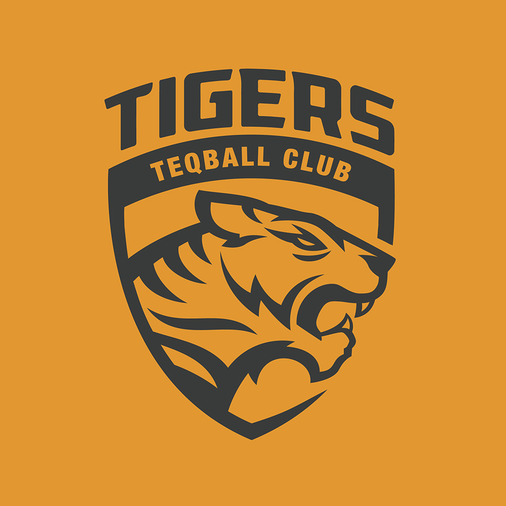 Tigers – Teqball Brunei